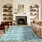 Area Vintage Rug, Machine Washable, Non-Slip Carpet