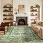 Area Vintage Rug, Machine Washable, Non-Slip Carpet